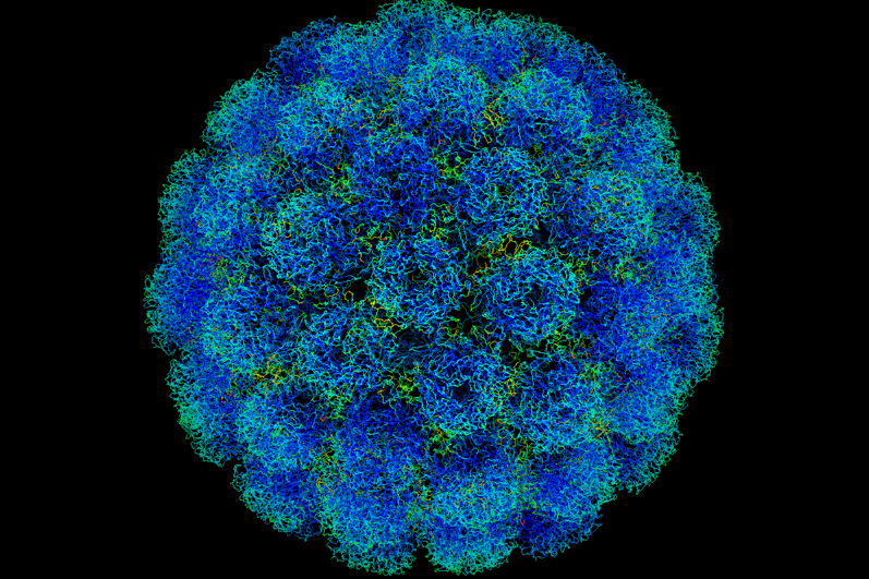 Symian-Virus